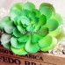 Simulation Mini Plastic Succulents Scindapsus Plants Garden Home Office Decor   222485209064